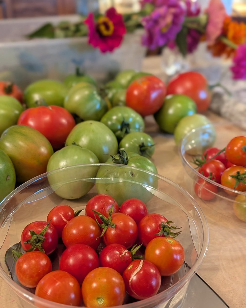 Red and green garden tomatoes arranged in bowls on a counter